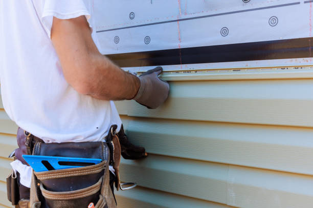 Best Custom Siding Design  in Fulton, KY